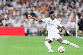 公众观赛区 公众观赛区