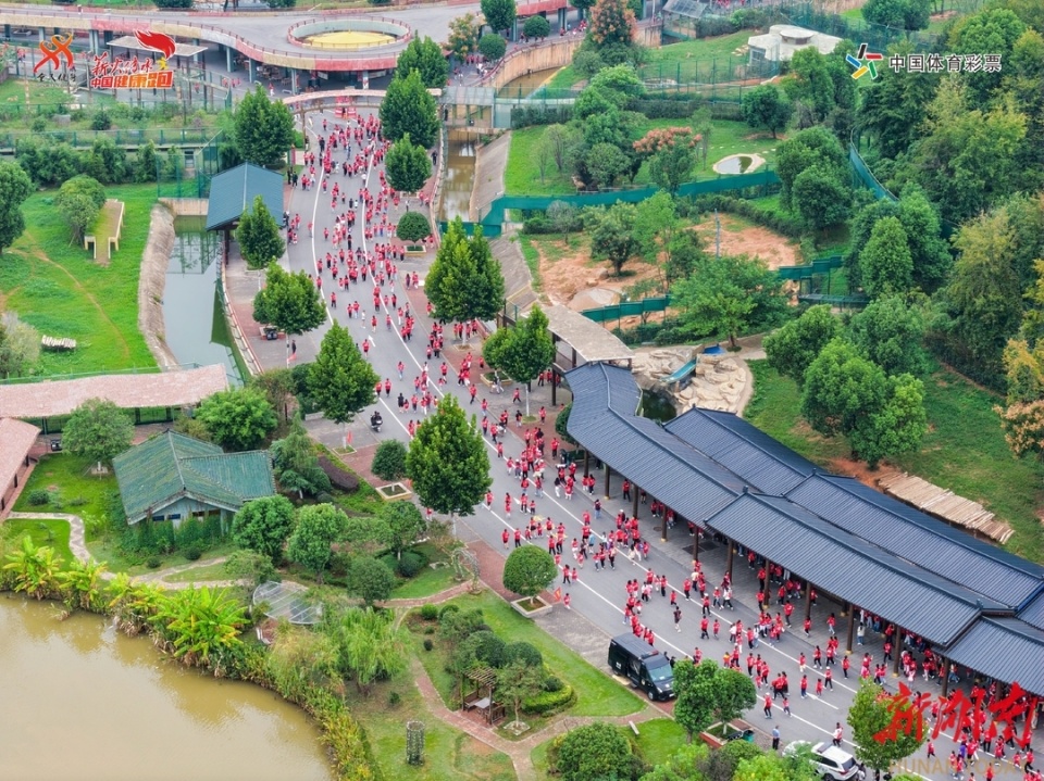 一边跑步一, 动的预热活, 物园内 一边跑步一, 动的预热活, 物园内